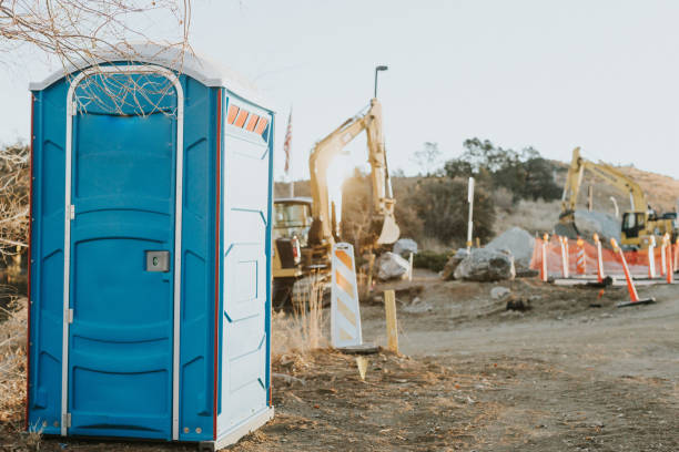 Portable Toilet Options We Offer in Hamshire, TX